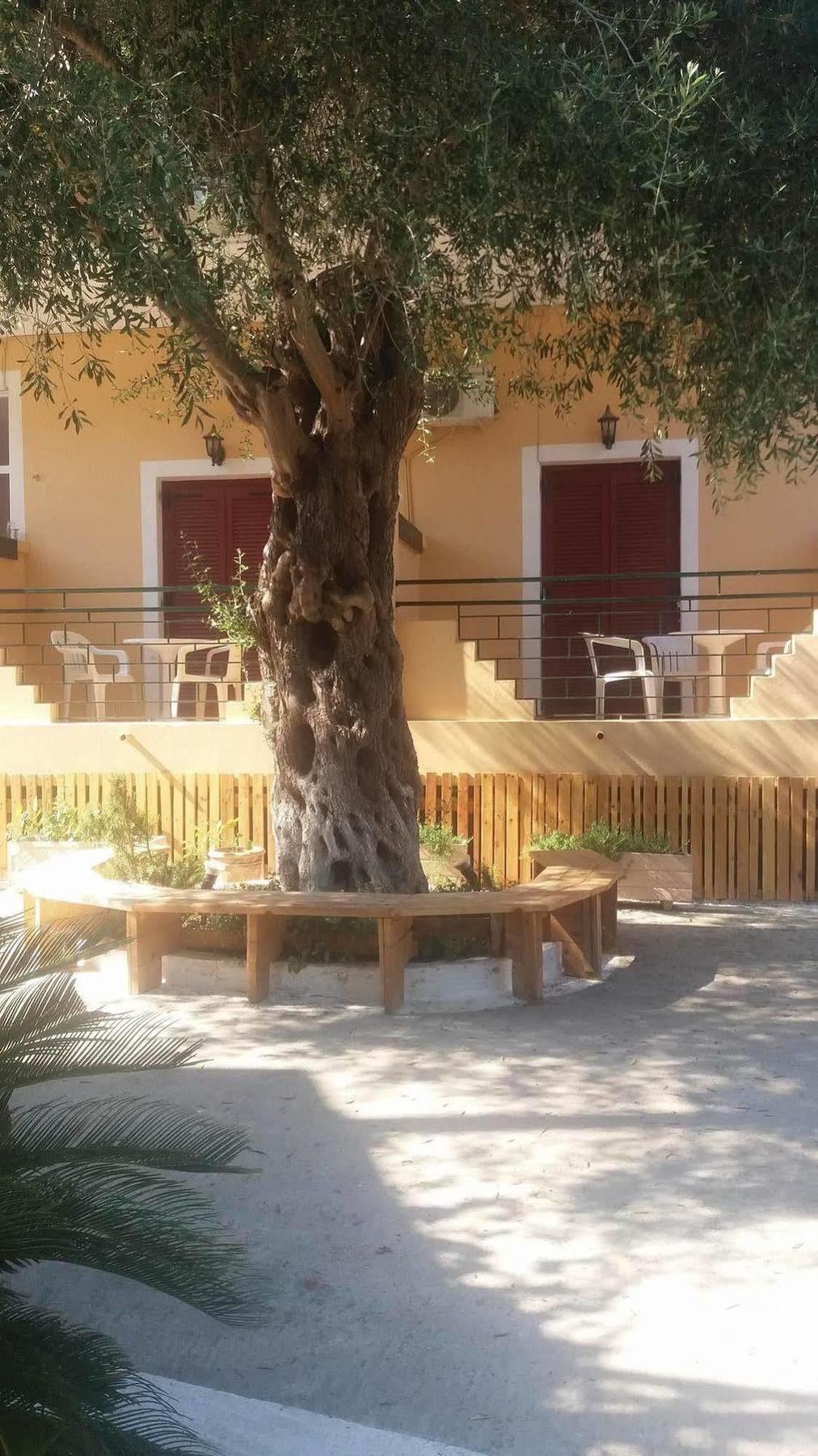 Wilde Rose Hotel Dassia (Corfu) Exterior foto