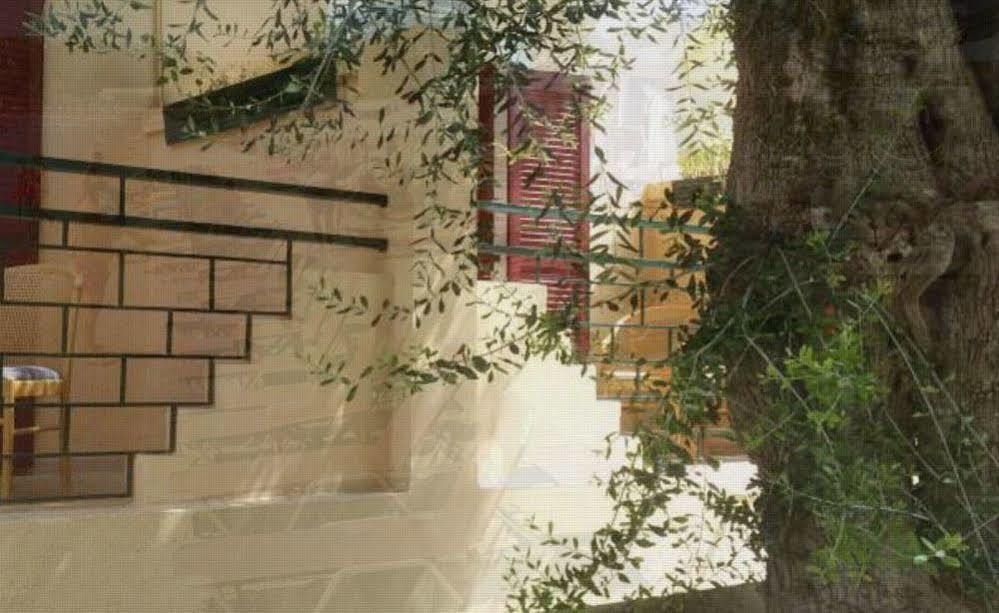 Wilde Rose Hotel Dassia (Corfu) Exterior foto